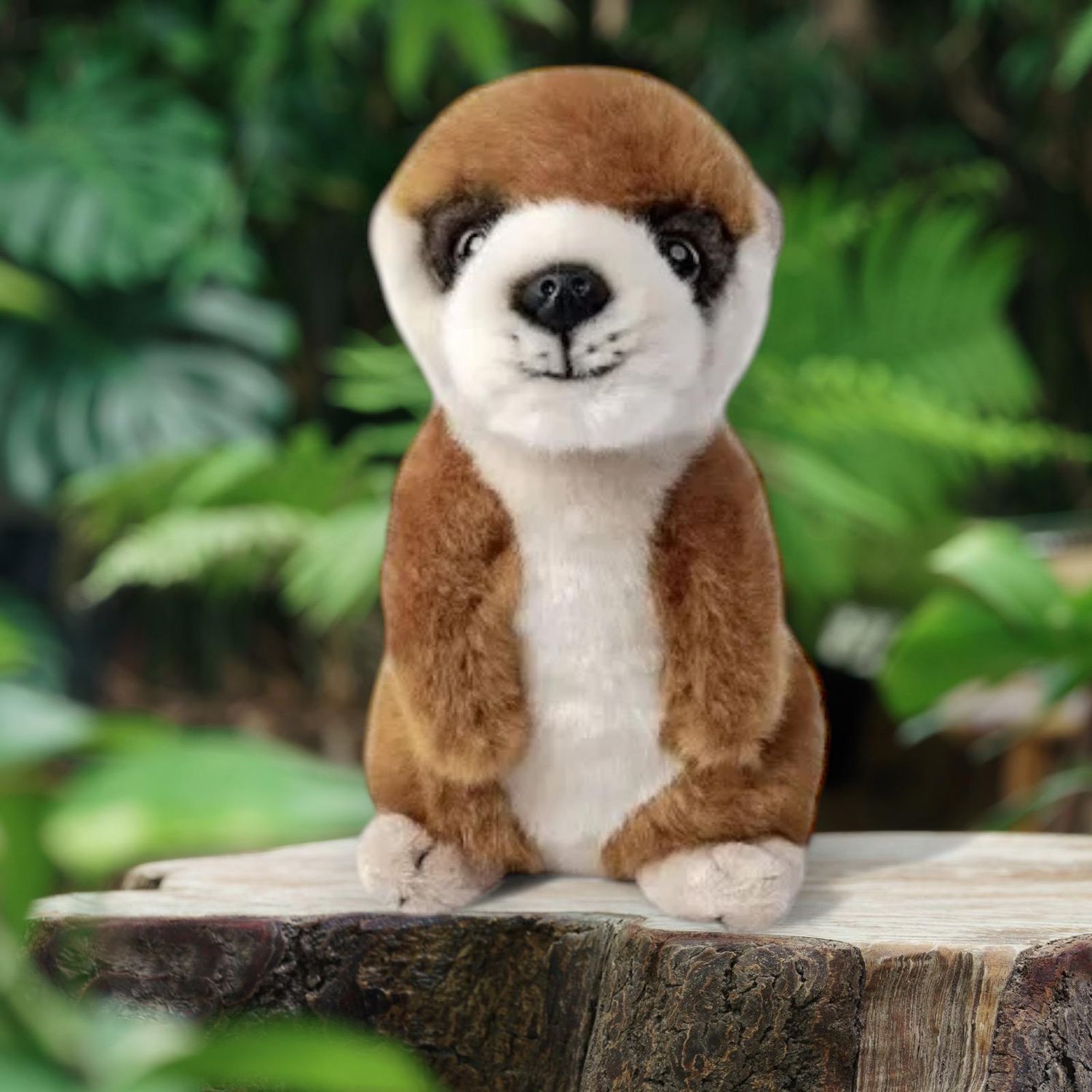 Meerkat Pup - Soft Toy