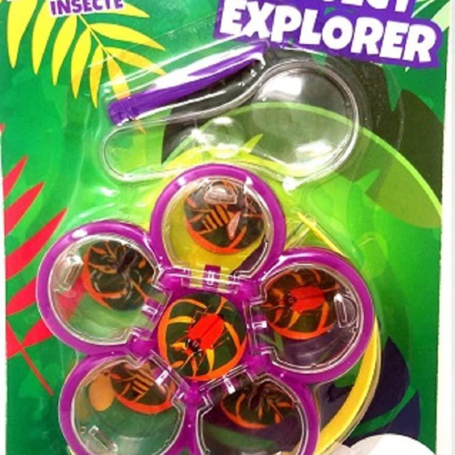 Insect Explorer; Bug Catcher Kit
