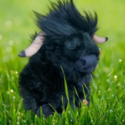 Highland Cow - Black (with sound)