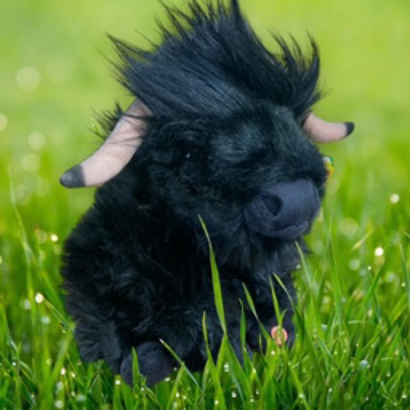 Highland Cow - Black (with sound)