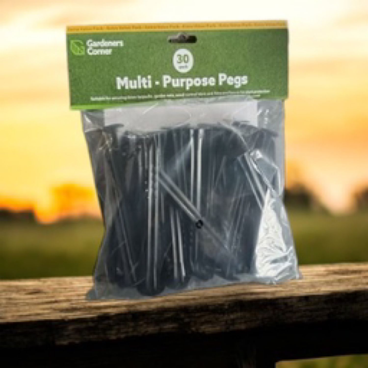 30pk Camping Pegs 