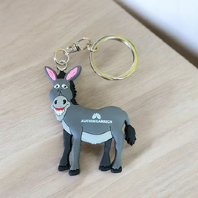 Auchingarrich Keyring; Donkey
