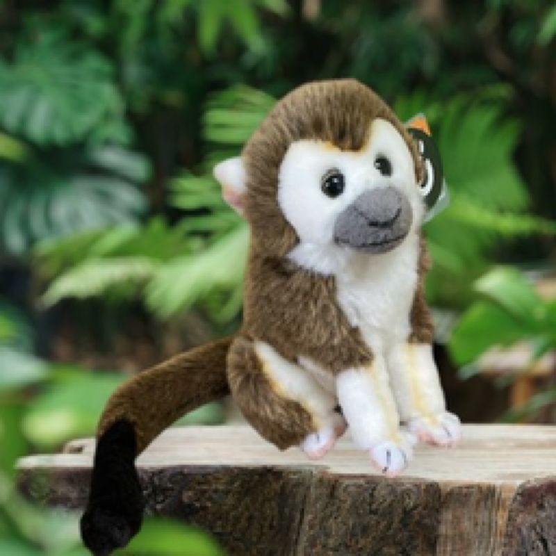 Squirrel Monkey