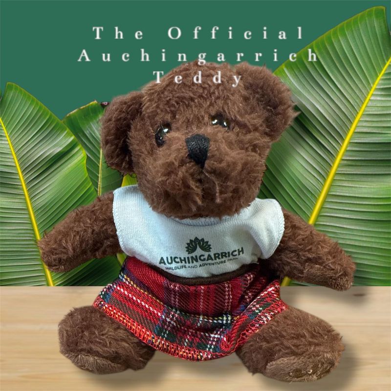 Auchingarrich Teddy w/ Tee