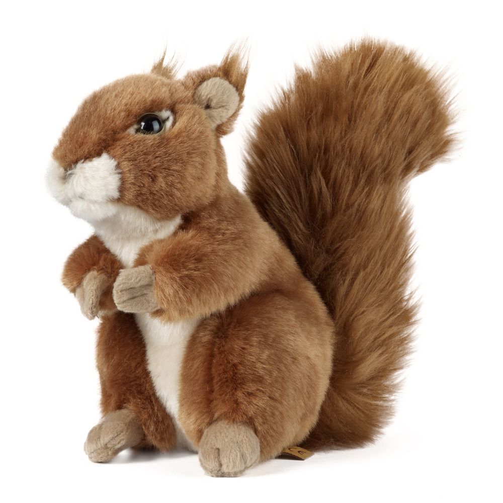 Squirrel Soft Toy