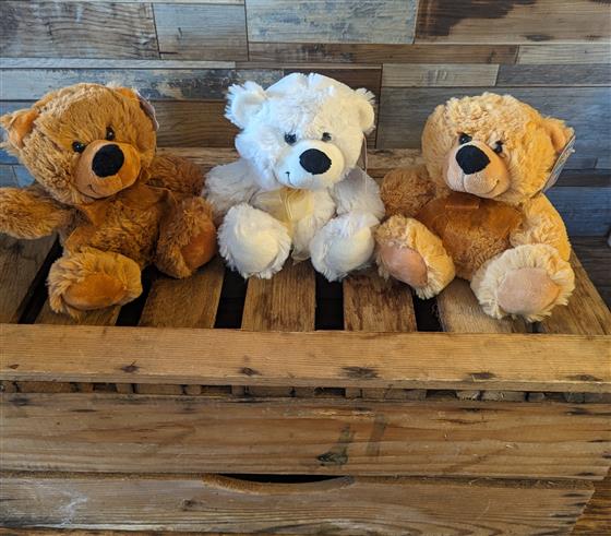 Snuggle Pals Super-Soft Teddy Bear