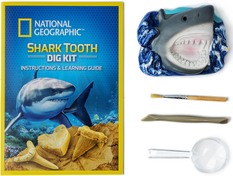 National Geographic Shark Tooth Dig Kit