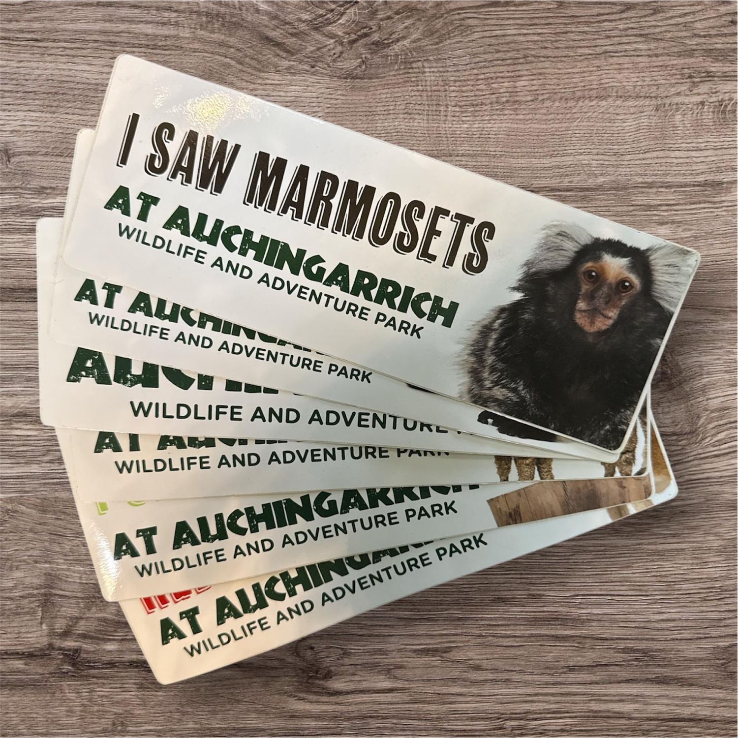 Auchingarrich Marmoset Bumper Sticker