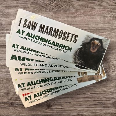 Auchingarrich Marmoset Bumper Sticker Auchingarrich Marmoset Bumper Sticker