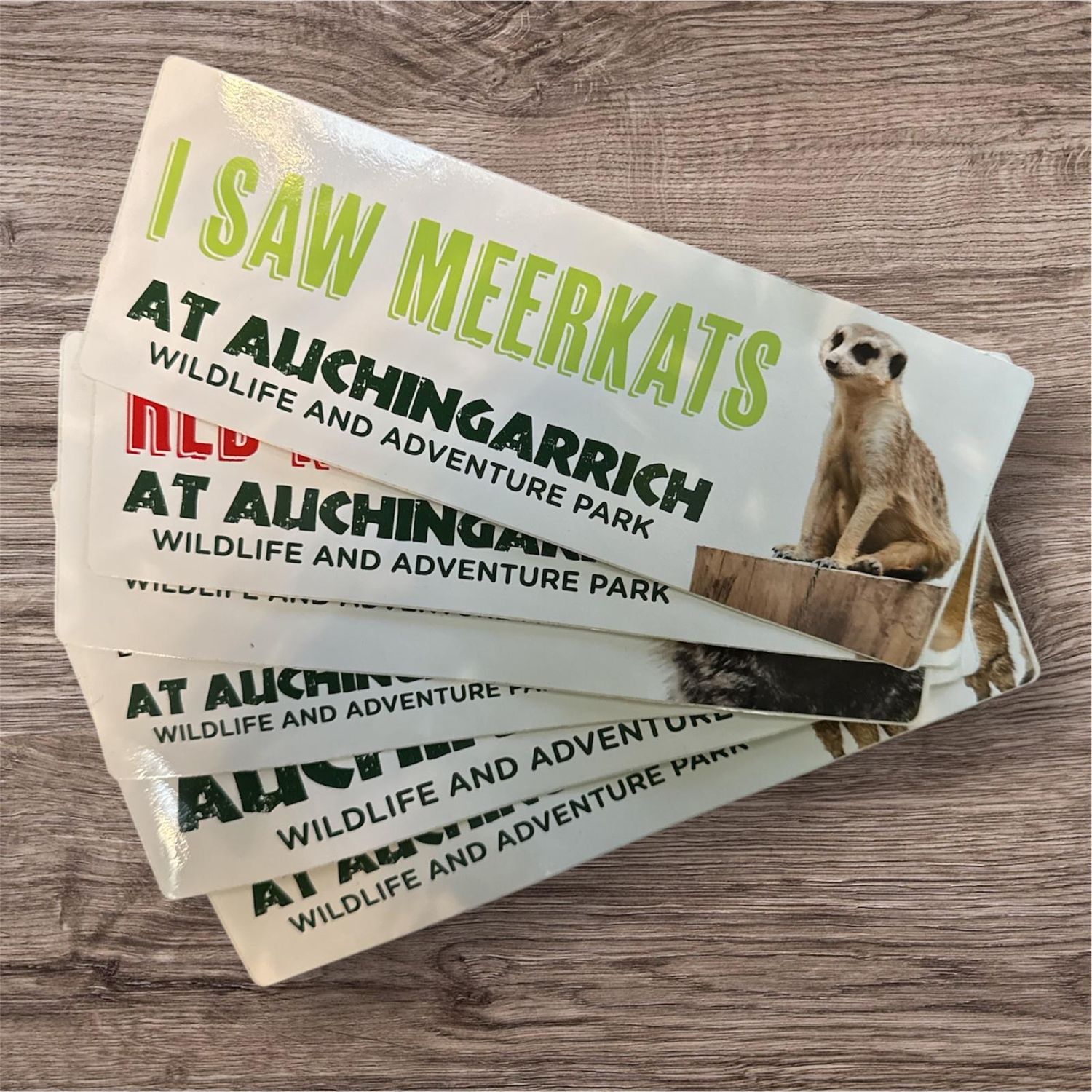 Auchingarrich Meerkat Bumper Sticker