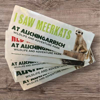 Auchingarrich Meerkat Bumper Sticker Auchingarrich Meerkat Bumper Sticker