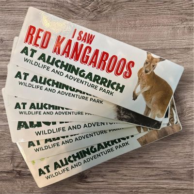 Auchingarrich Red Kangaroo Bumper Sticker Auchingarrich Red Kangaroo Bumper Sticker