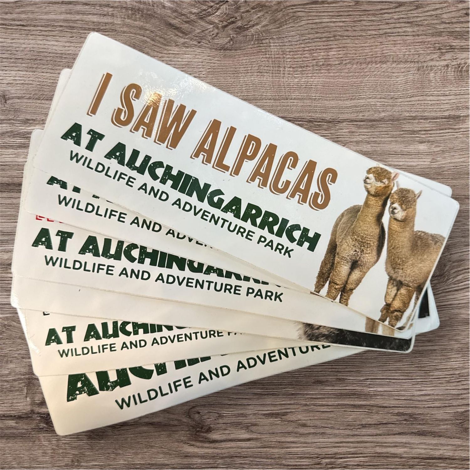Auchingarrich Alpaca Bumper Sticker