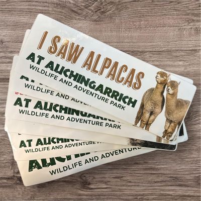 Auchingarrich Alpaca Bumper Sticker Auchingarrich Alpaca Bumper Sticker