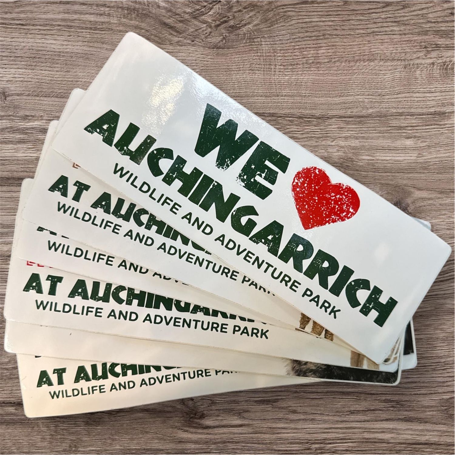 We Love Auchingarrich Bumper Sticker