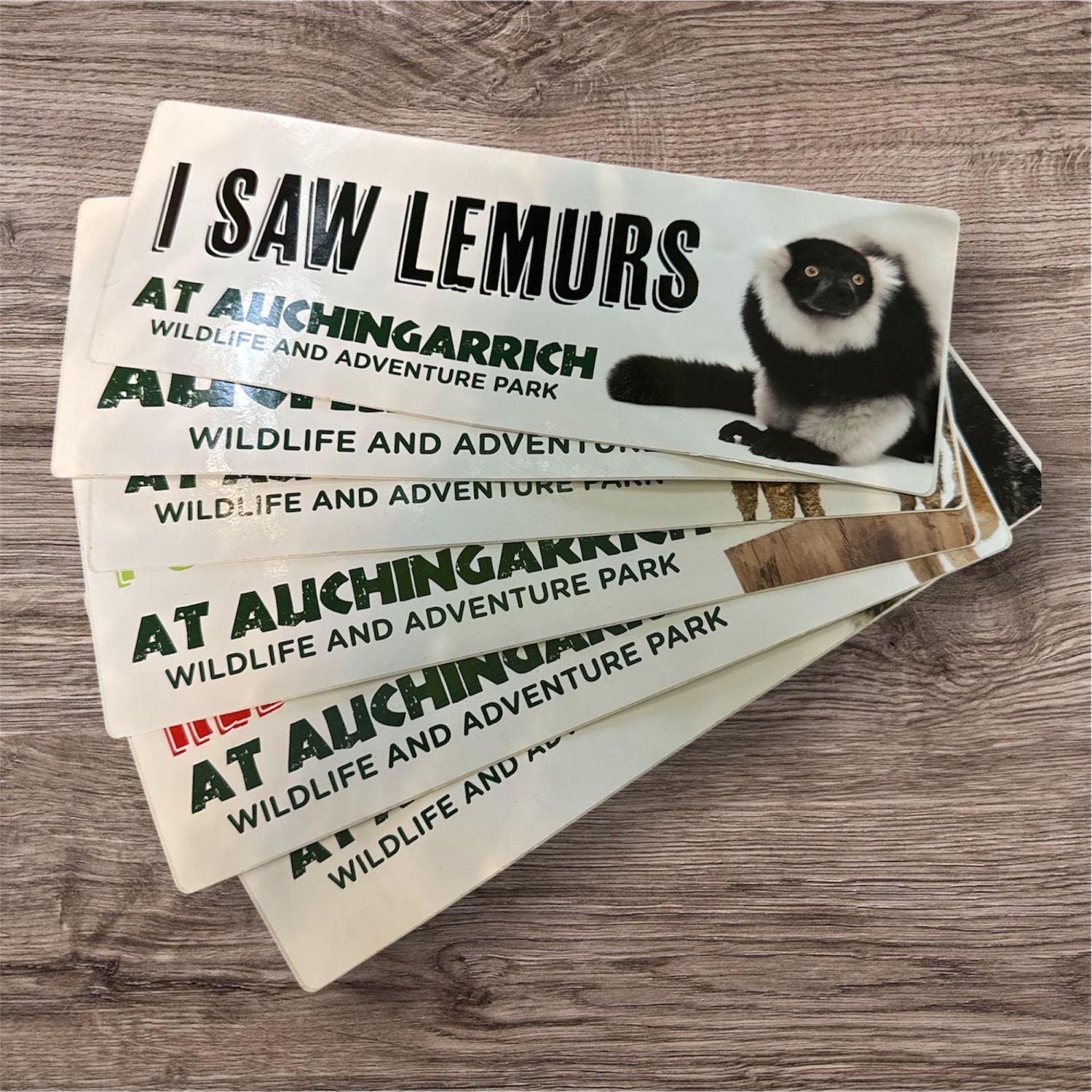 Auchingarrich Lemur Bumper Sticker