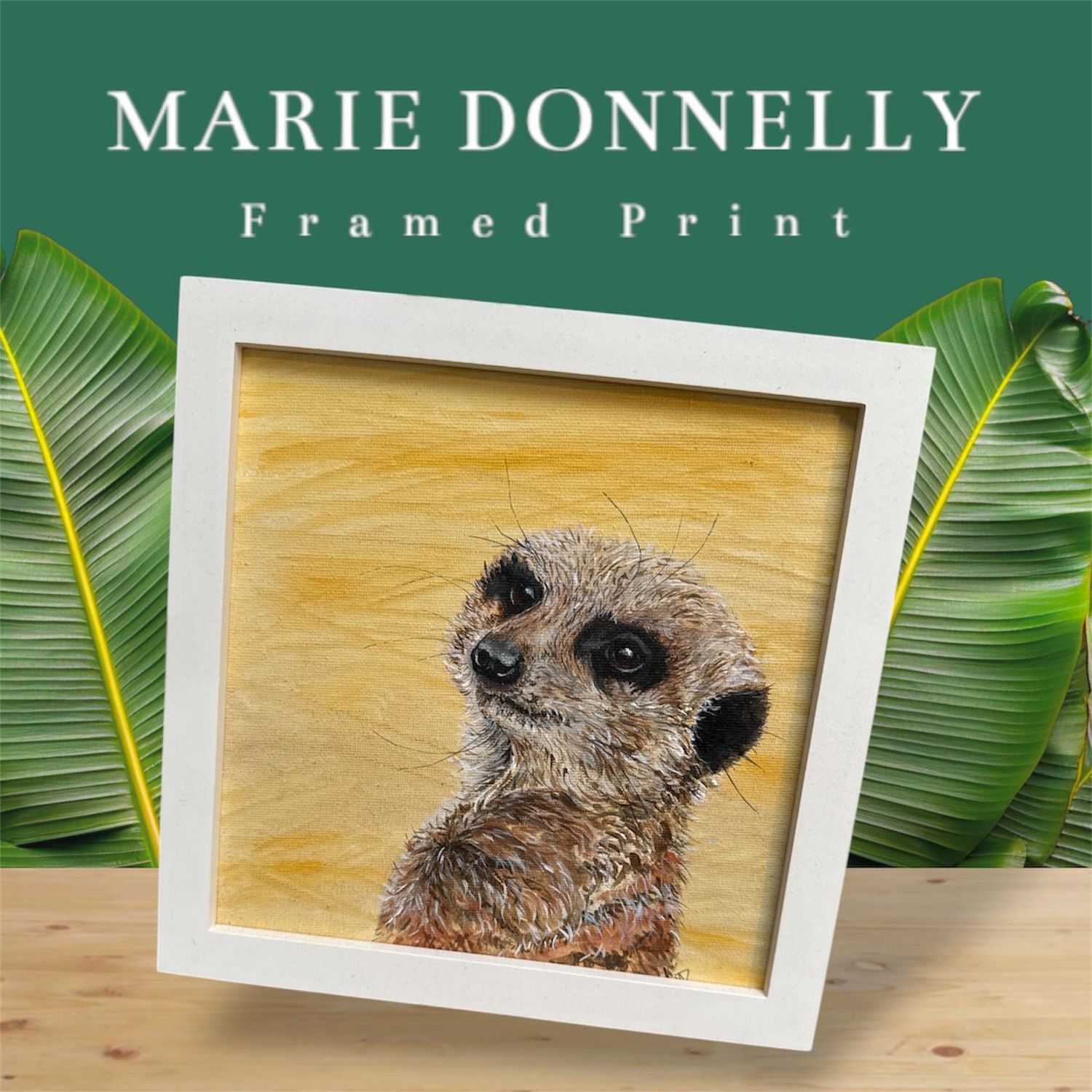 Marie Donnelly Framed Acrylic Art - Meerkat