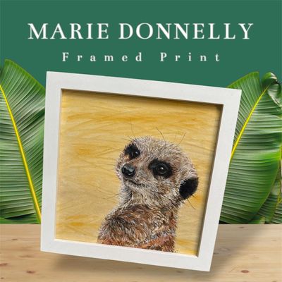Marie Donnelly Framed Acrylic Art - Meerkat