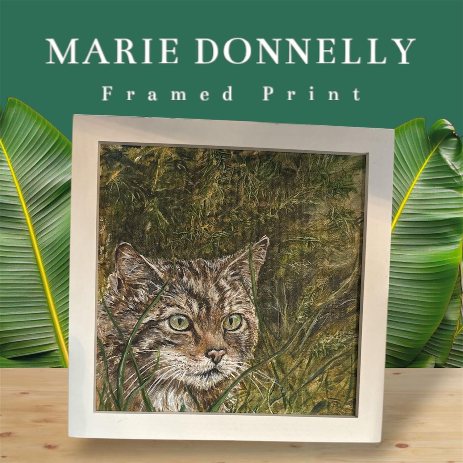 Marie Donnelly Framed Acrylic Art - Wildcat
