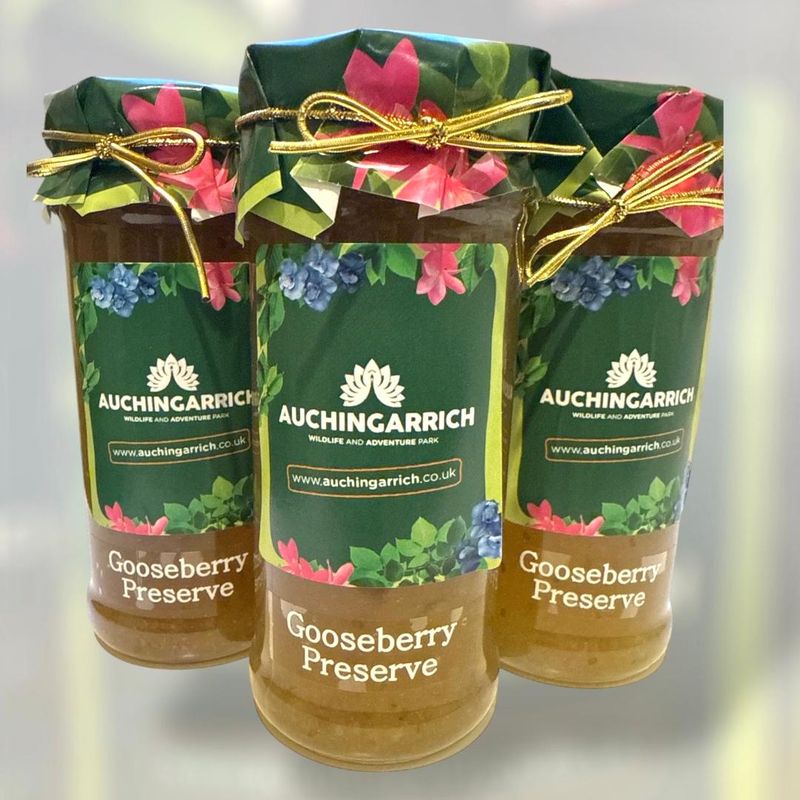Gooseberry Preserve, 340g