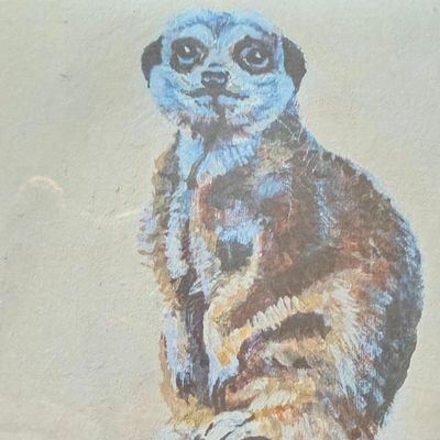 Greeting Card; Meerkat