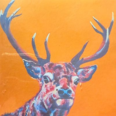 Greeting Card; Stag (with orange background)