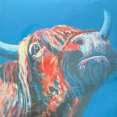 Greeting Card; Highland Cow