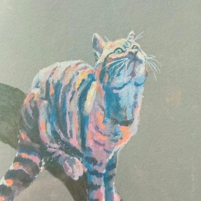 Greeting Card; Wildcat (looking up)