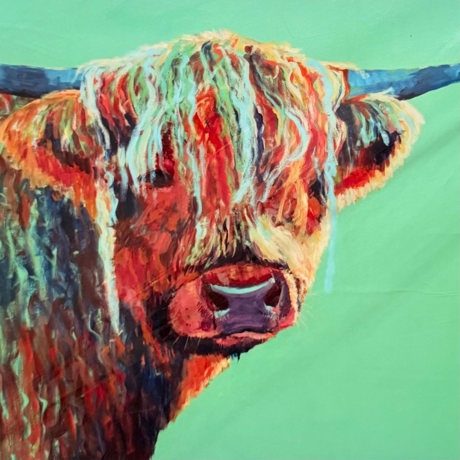Highland Cow; A4 Art Print