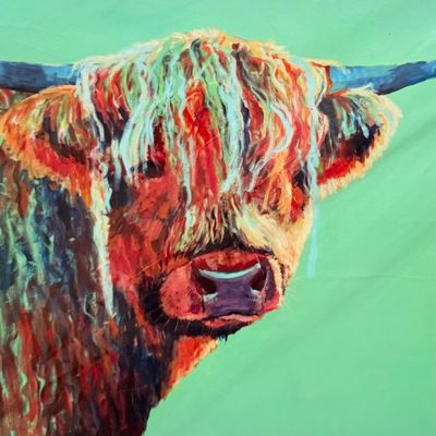 Highland Cow; A4 Art Print