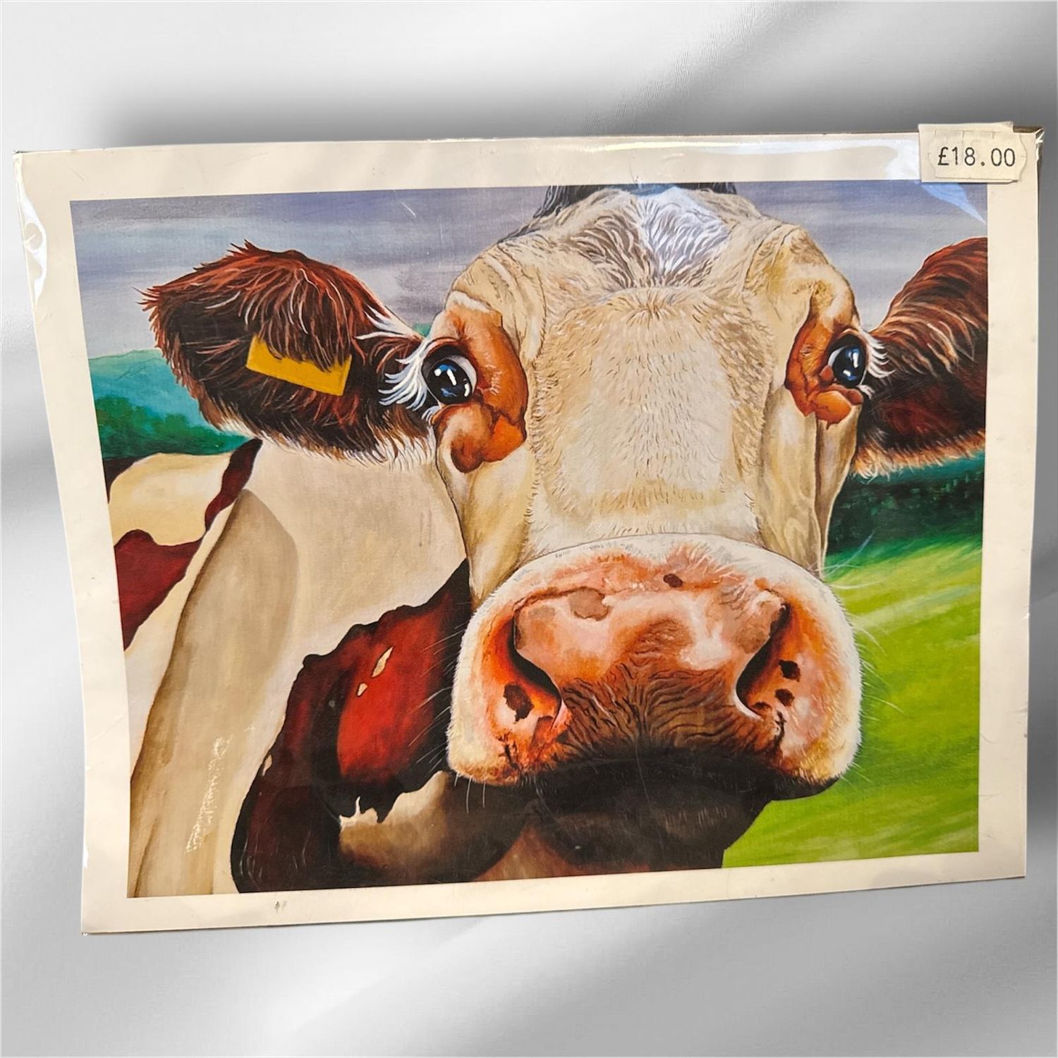 Cow Print; by Cate Menzies Designs