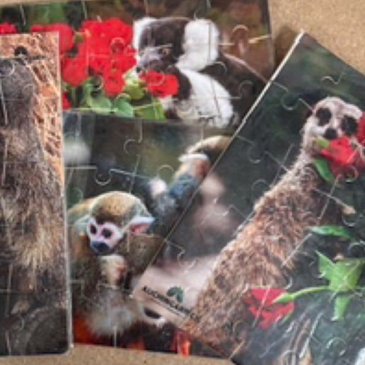 Animal Jigsaw Puzzle (20pc), by Jane