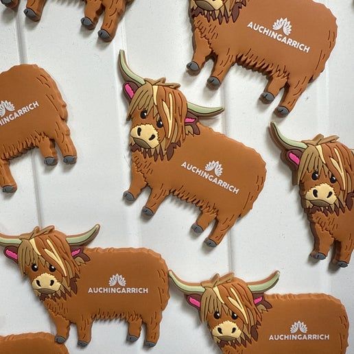Auchingarrich Highland Cow Magnet