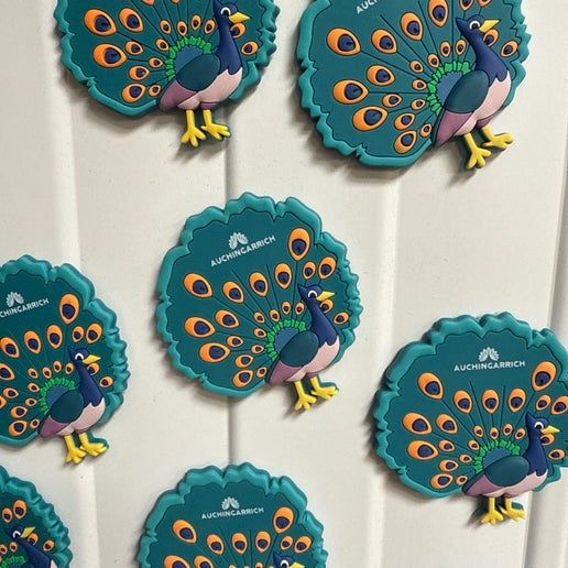 Auchingarrich Peacock Magnet