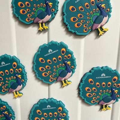 Auchingarrich Peacock Magnet