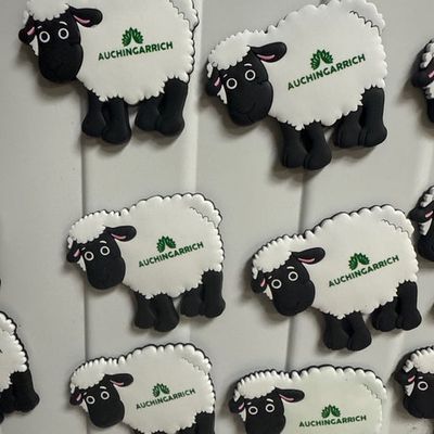 Auchingarrich Sheep Magnet Auchingarrich Sheep Magnet
