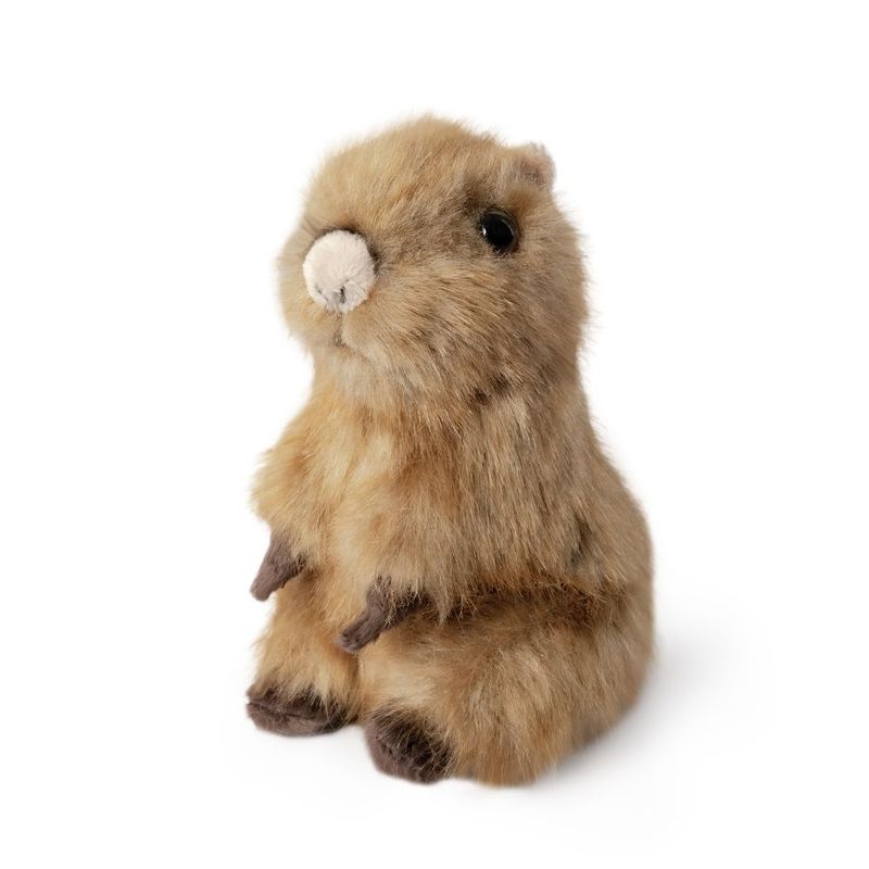 Capybara Pup, Soft Toy