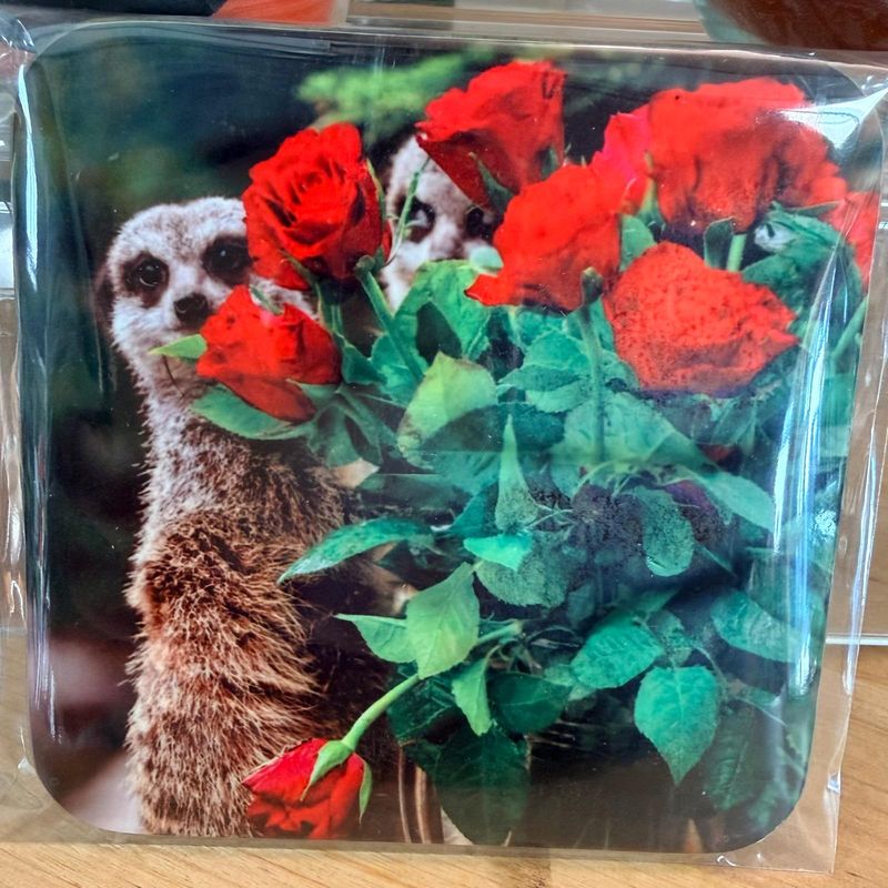 Cork Coasters; by Jane