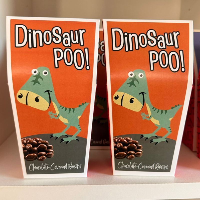 Dinosaur Poo! Chocolate Covered Raisins