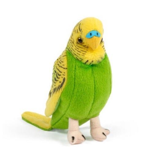 Yellow Budgerigar with Sound