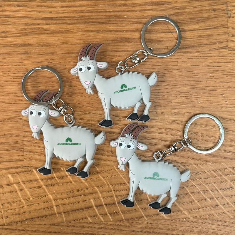 Goat - Auchingarrich Keyring