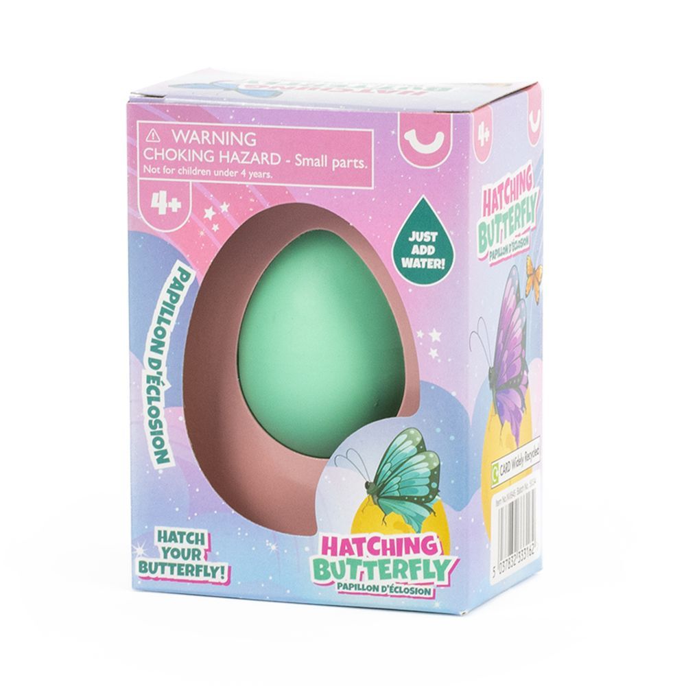 Hatching Butterfly Egg