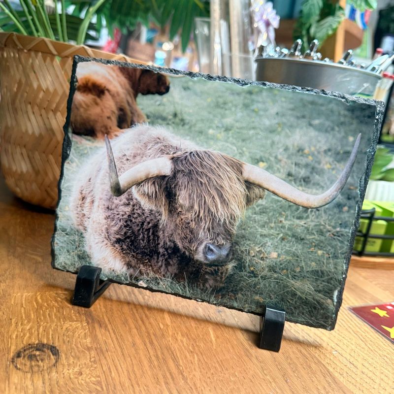 Highland Cow Slate (Rectangle) by Mary-Jane