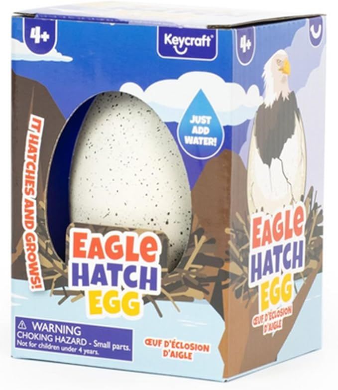 Eagle Hatch Egg
