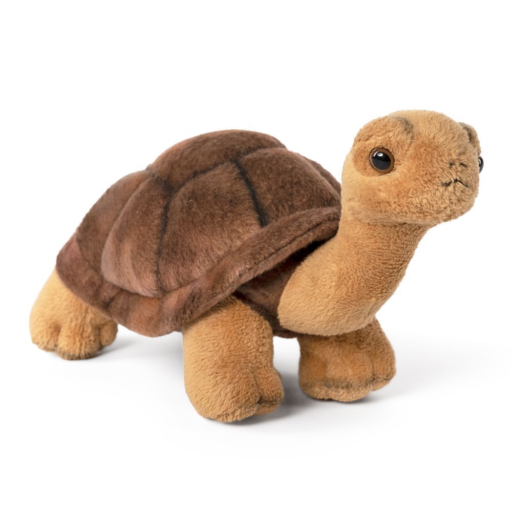 Tortoise - Soft Toy Tortoise - Soft Toy