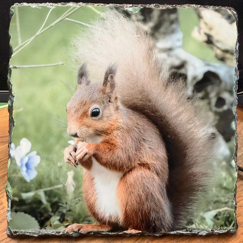 Square Slate; Made by Mary Jane