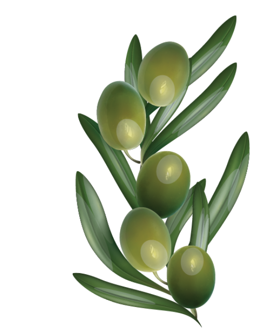 Eezy Squeezy Extra Virgin Olive Oil Sachets 10ml