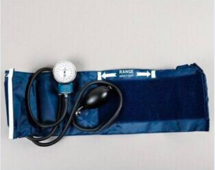 Blood Pulse Monitor Aneroid Deluxe