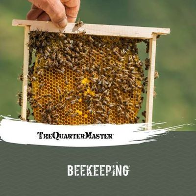 Beekeeping