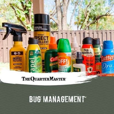 Bug Management